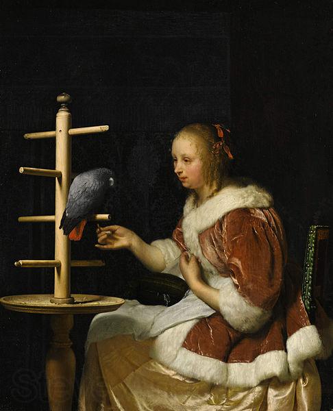 Frans van Mieris A Young Woman in a Red Jacket Feeding a Parrot Spain oil painting art